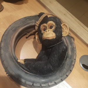 Monkey on tyre