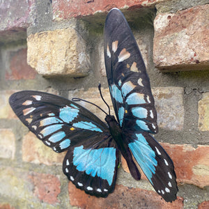 Large Metal Butterfly