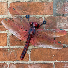 Small Metal Dragonfly Wall Art