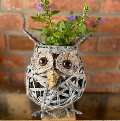 Wicker Owl Planter
