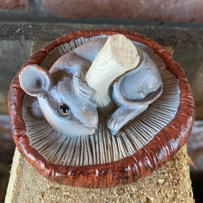 Mouse on Mushroom