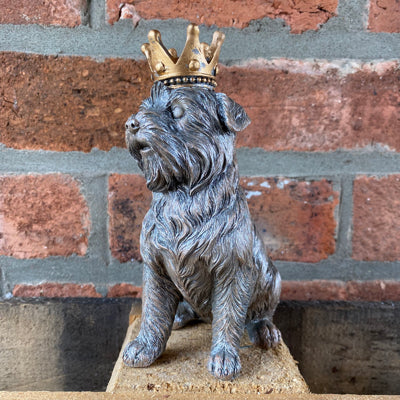 Terrier with a crown