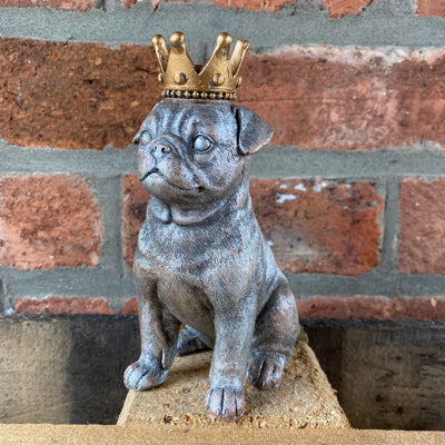 Pug with a crown