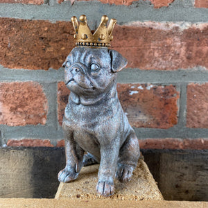 Pug with a crown